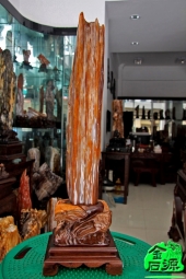 树化玉-NO.3942树化玉精品