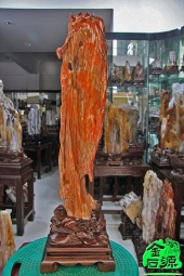 NO.4198红色树化玉