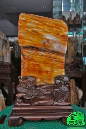 NO.4193缅甸树化玉